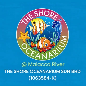 The Shore Oceanarium